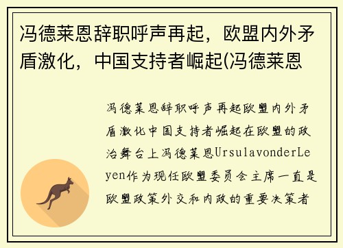 冯德莱恩辞职呼声再起,欧盟内外矛盾激化,中国支持者崛起(冯德莱恩 丈夫)
