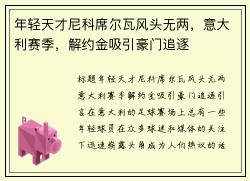 年轻天才尼科席尔瓦风头无两，意大利赛季，解约金吸引豪门追逐