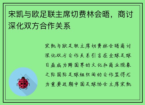 宋凯与欧足联主席切费林会晤，商讨深化双方合作关系
