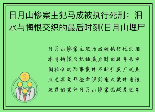 日月山惨案主犯马成被执行死刑：泪水与悔恨交织的最后时刻(日月山埋尸案涉案人员)